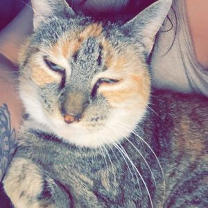 Meet your Posher, Allyssa